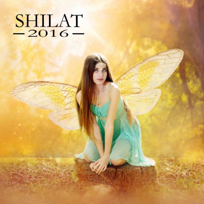 בוק בת מצווה - דגם 2